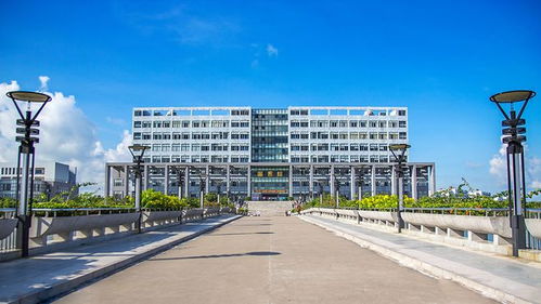 機會更大 這10所3 院校招生計劃最多 全是公辦