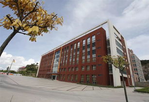 珠海金灣5所本科高校投檔線公布，職業教育培訓助力學子成才